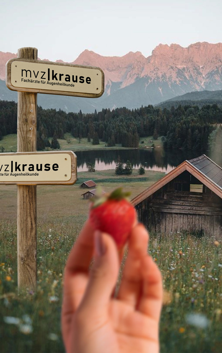 Bifokale Multifokallinse - Schaubild mit Bergen im Hintergrund und einer unscharfen Erdbeere im Vordergrund